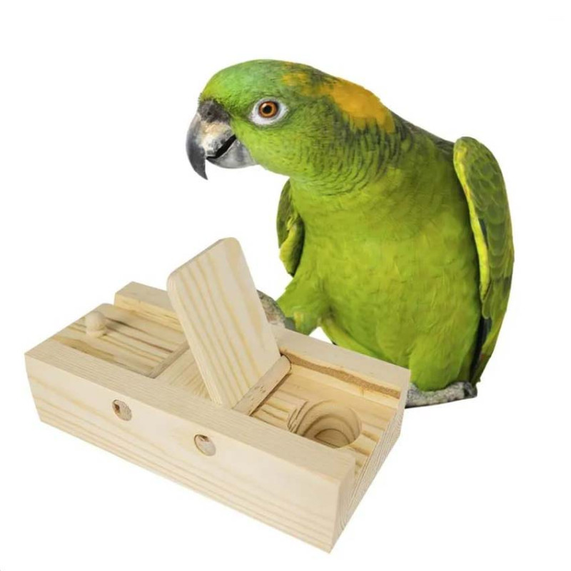 Braintrainer Flaps - Jouet de Foraging Perroquet
