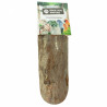 Planchette en Bois Naturel - Large - Jouet Perroquet