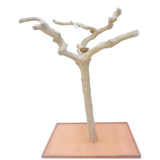 Arbre en Bois Java - Taille Extra Large - AL 30704