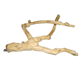 Branche en Bois de Java pour Perroquet - Medium