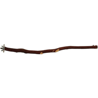 Perchoir en Bois de Manzanita pour Grandes Perruches L 45 cm - Medium