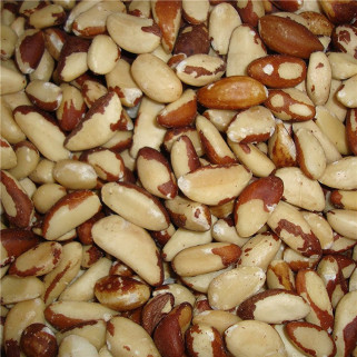 Noix du Brésil Ecalée - 2 kg