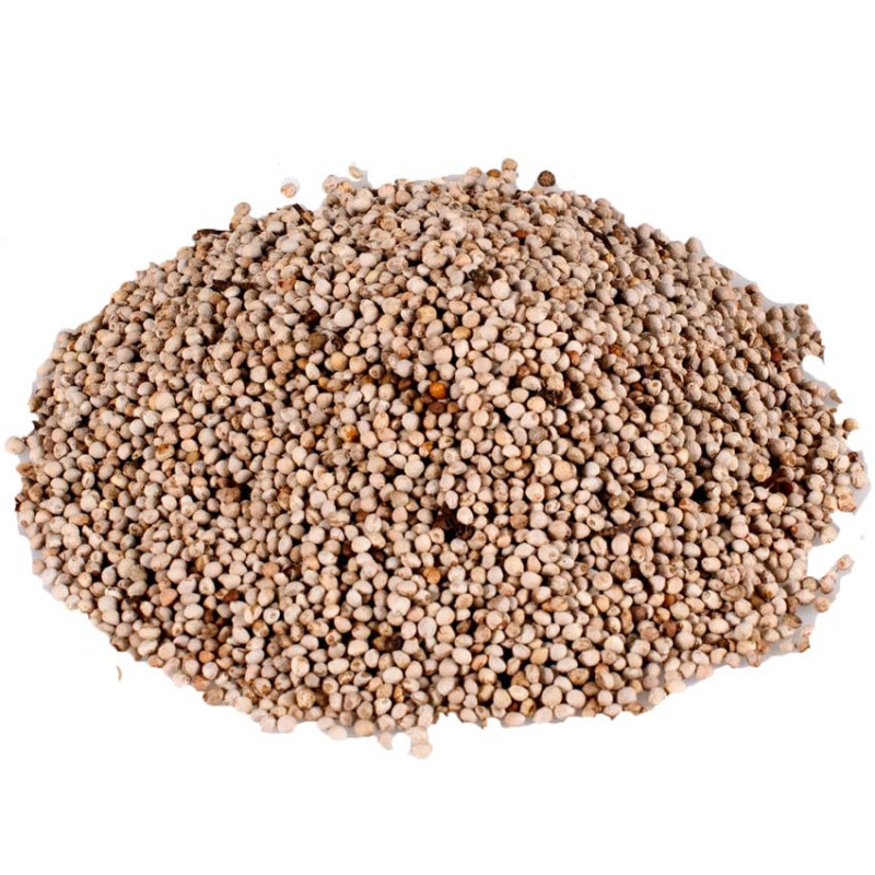 Graines de Perilla Blanc - 600 gr
