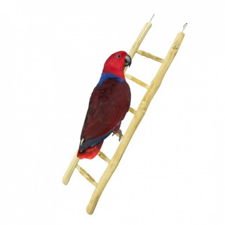 Nature Java Ladder - 60 cm